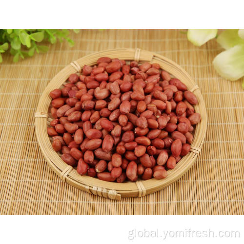 Organic Peanut Peanut Vs Tree Nut Supplier